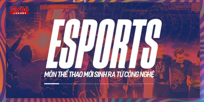 Việt Nam Esports