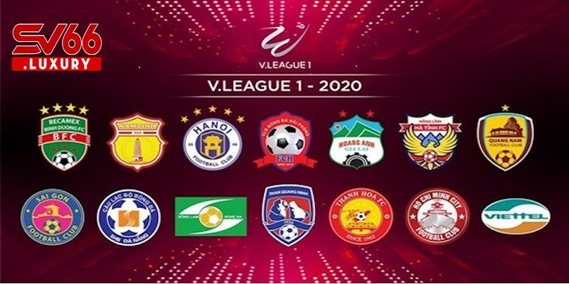 Các giải đấu bóng đá Việt Nam được cập nhật tại chuyên mục dân trí thể thao